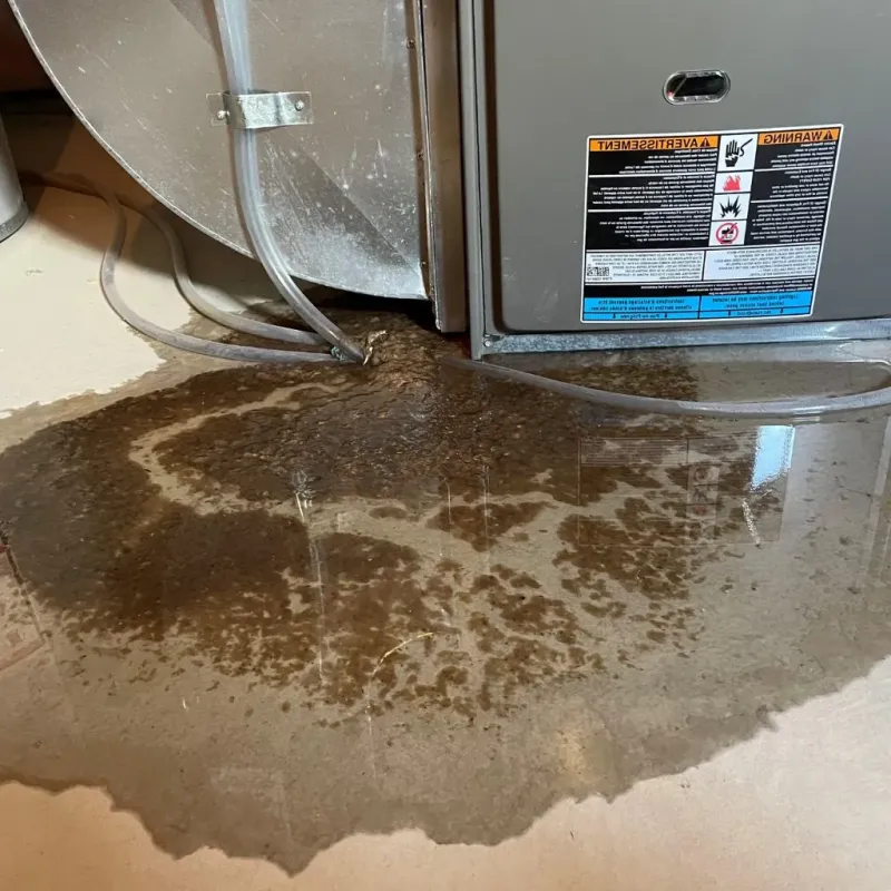 Pipe Burst and Leak Restoration in Provincetown, MA